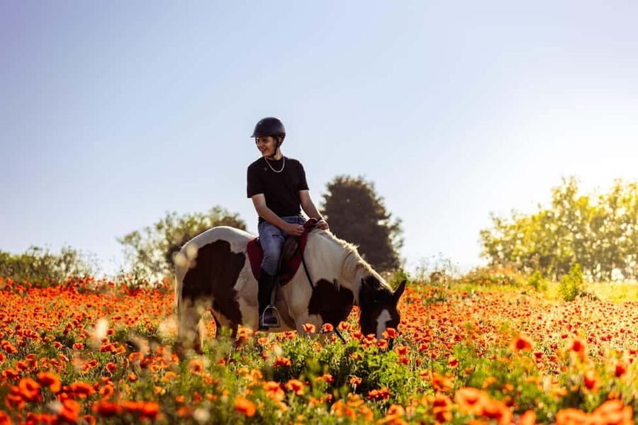 Horse Sanctuary in Rome - Coffee shop meeting point, then straight to ranch life