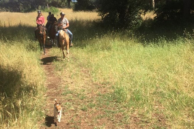 Horse Sanctuary & Trail Ride in Ostia Antica - First Things First: Getting to the Viale dei Romagnoli meeting point