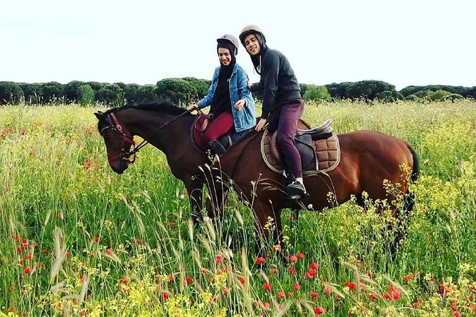 Horse Sanctuary & Trail Ride in Ostia Antica - Gelato kickoff, then a hands-on welcome at Cavalieri di Gaia