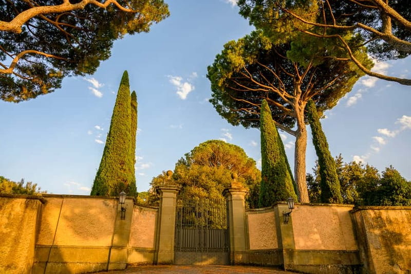 Papal Palace and Secret Garden Ticket and Audio Guide - Moro Garden and Secret Garden: the stroll that gives the ticket its soul