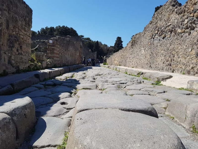 Pompeii: Entry Ticket w/ Guide and Transfers or Audio Guide - Choosing between a live guide and an audio guide