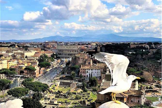 Private Rome WOW Tour in 1 Day: Luxury Car, Guide, Tkts & Lunch! - How to decide if a one-day Rome “greatest hits” tour fits you