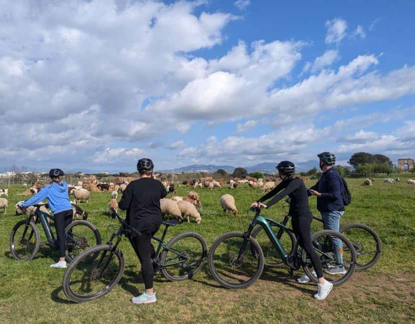 Rome: Appian Way, Aqueducts, & Catacombs E-Bike Guided Tour - Who this e-bike tour really suits (and who should skip it)