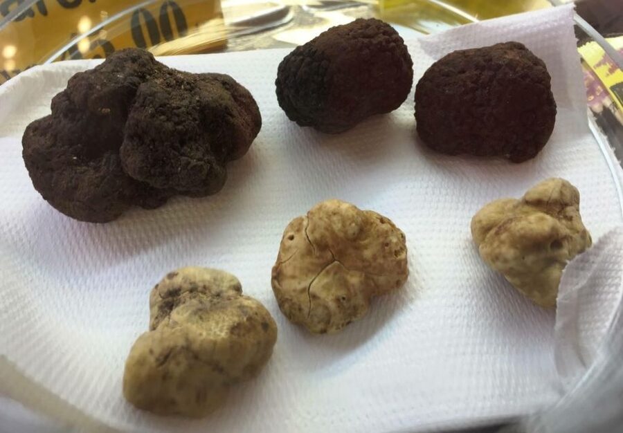 Rome: Award-Winning Roman Food Tours - Meeting point reality: La Nicchia Cafè and the car-free alley