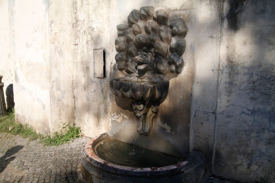 Rome: Borghese Gallery Guided Tour with Skip-the-Line Ticket - Your guided pass through the 20-room layout