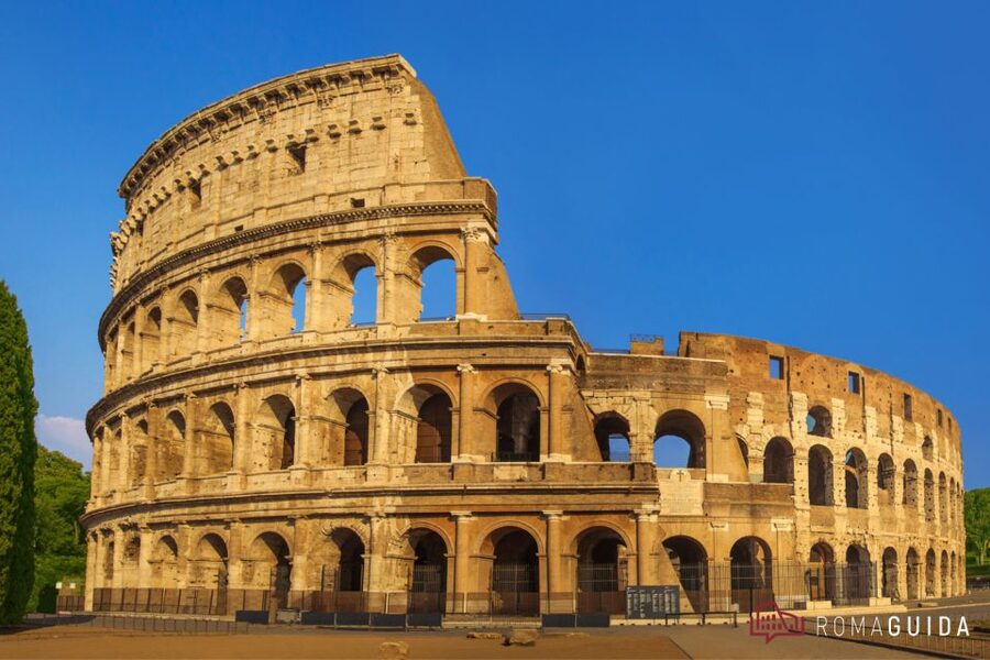 Rome: Colosseum and Palatine Hill Guided Walking Tour - Gladiators and the Arena: How the Guide Brings It to Life