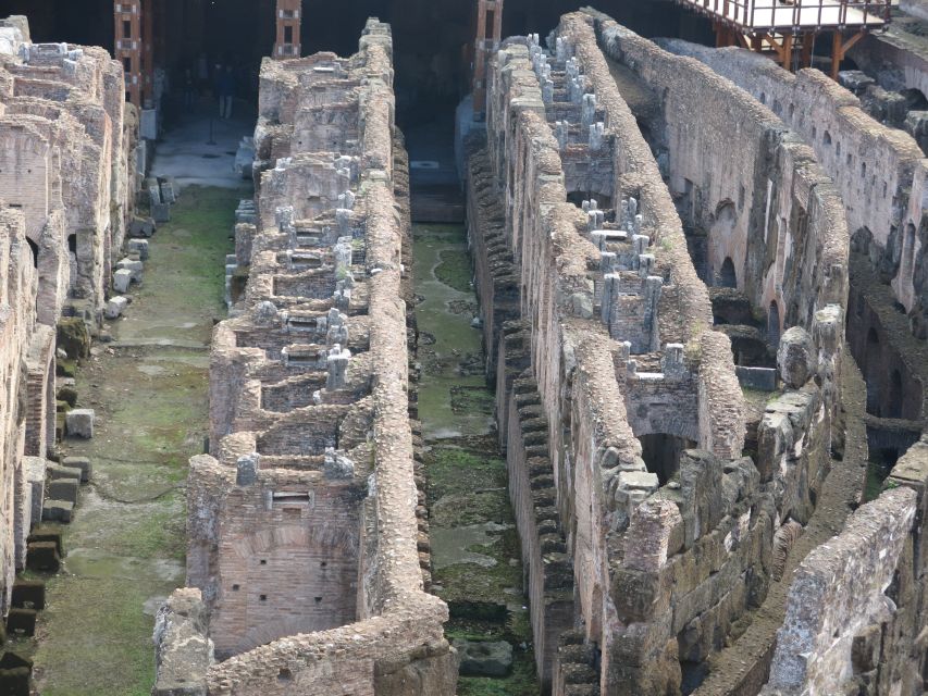 Rome: Colosseum Arena Floor, Roman Forum & Palatine Tour - Key things I’d circle before you book