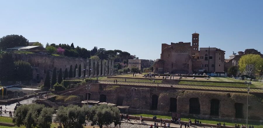 Rome: Colosseum Arena, Forum & Palatine Hill Private tour - Key highlights you’ll actually feel during the tour