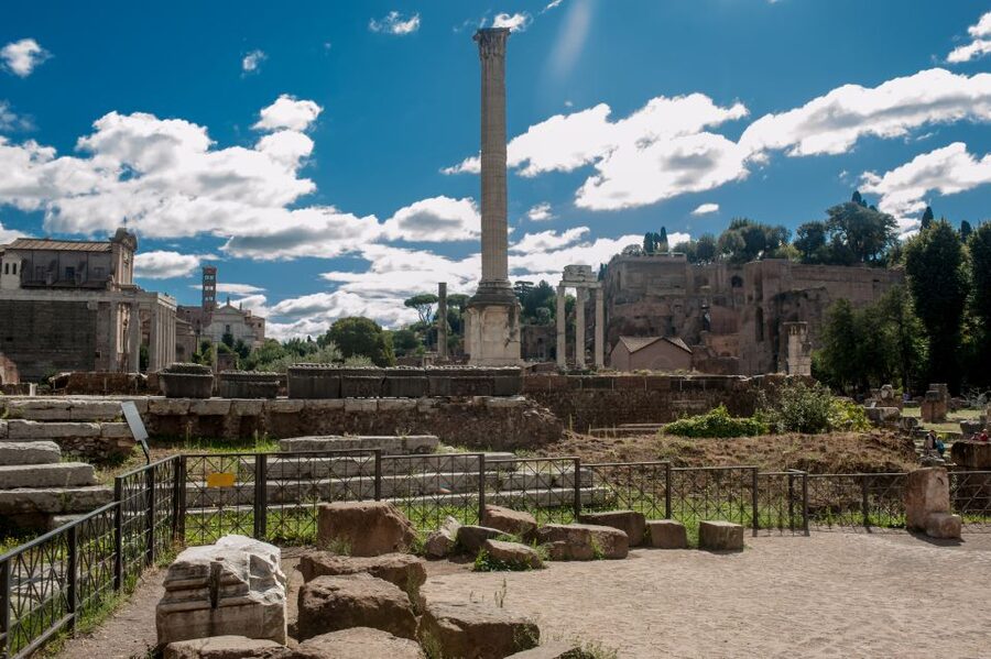 Rome: Colosseum Arena, Forum & Palatine Hill Private tour - Who this tour is best for