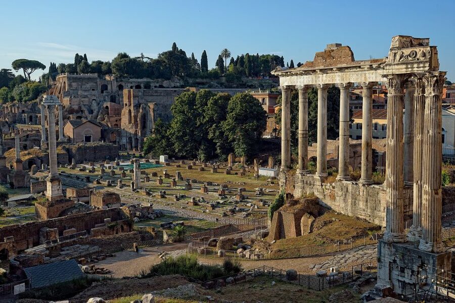 Rome: Colosseum Arena, Forum & Palatine Hill Private tour - From spectacle to politics: the Roman Forum stop that ties it together