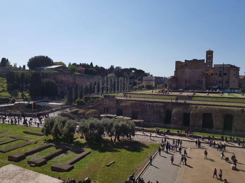 Rome: Colosseum Arena, Forum & Palatine Hill Private tour - Logistics you should prepare for before you go