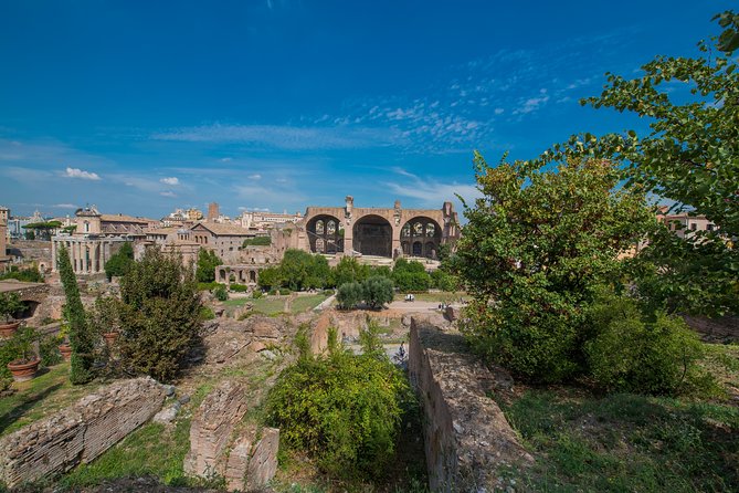 Rome: Colosseum Arena, Roman Forum & Palatine Hill Tour - Roman Forum: Temple of Caesar and the Politics Behind the Stones