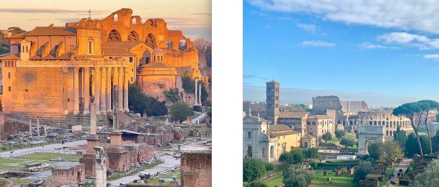 Rome: Colosseum, Forum, and Palatine Hill Guided Tour - Meeting at the Arch of Constantine: start point, pace, and what to look for