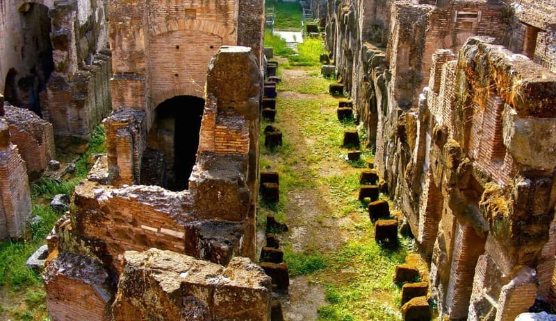 Rome: Colosseum Gladiator's Arena and Roman Forum Tour - Price, value, and why time savings matter