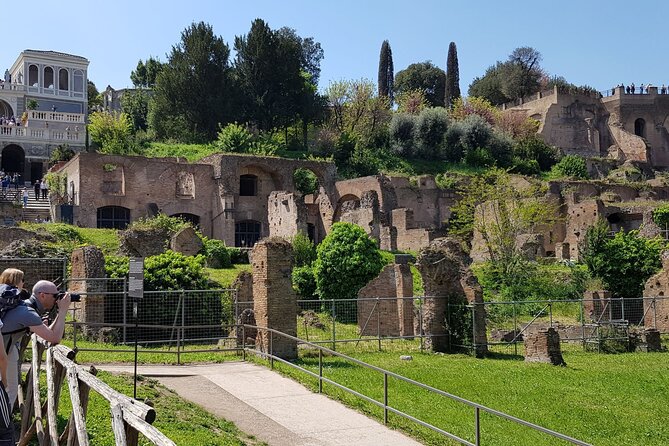 Rome: Colosseum, Palatine Hill and Roman Forum Guided Tour - Down into the Roman Forum Valley: Basilica, Temples, and the Vestals