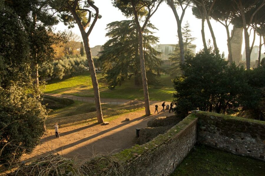 Rome: Colosseum, Palatine Hill and Roman Forum Guider Tour - The Colosseum Arena Walk: Skip the Line and Hear the Stories