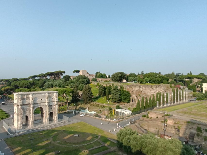 Rome: Colosseum, Palatine Hill, & Roman Forum Walking Tour - Palatine Hill: the views and the birthplace legend you can feel