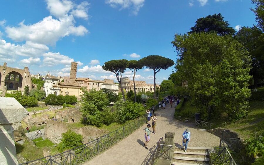 Rome: Colosseum, Roman Forum, and Palatine Hill Tour - Palatine Hill stop: where the imperial theme takes over