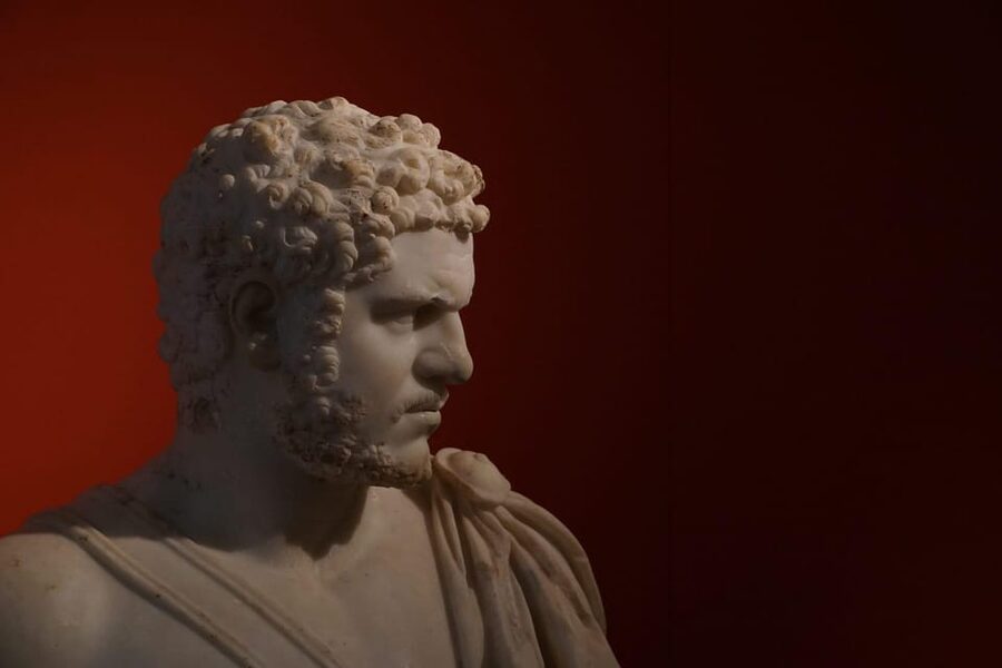 Rome: Colosseum, Roman Forum & Palatine Hill Experience - Who This Colosseum, Forum, and Palatine Experience Suits