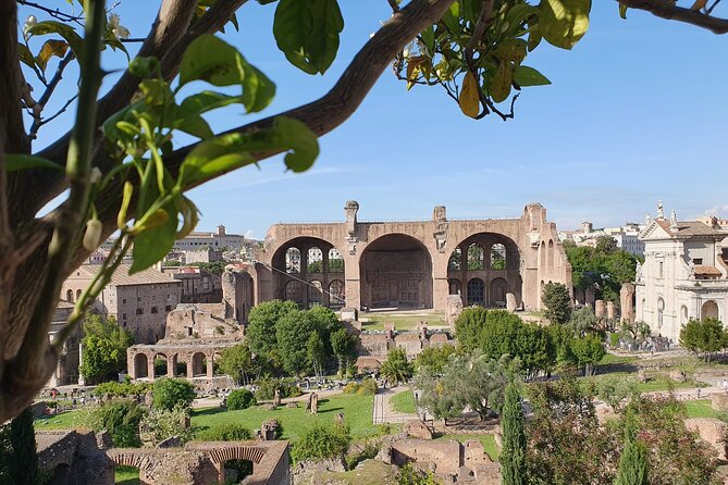 Rome: Colosseum, Roman Forum & Palatine Hill Experience - Colosseum Arena Floor or Underground: Which Option Fits Your Mood