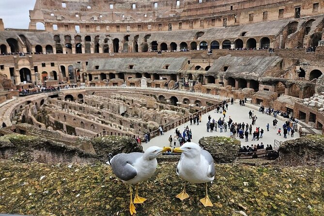 Rome: Colosseum, Roman Forum & Palatine Hill Visit + Audio Guide - Heads-up on crowds and finding the rep