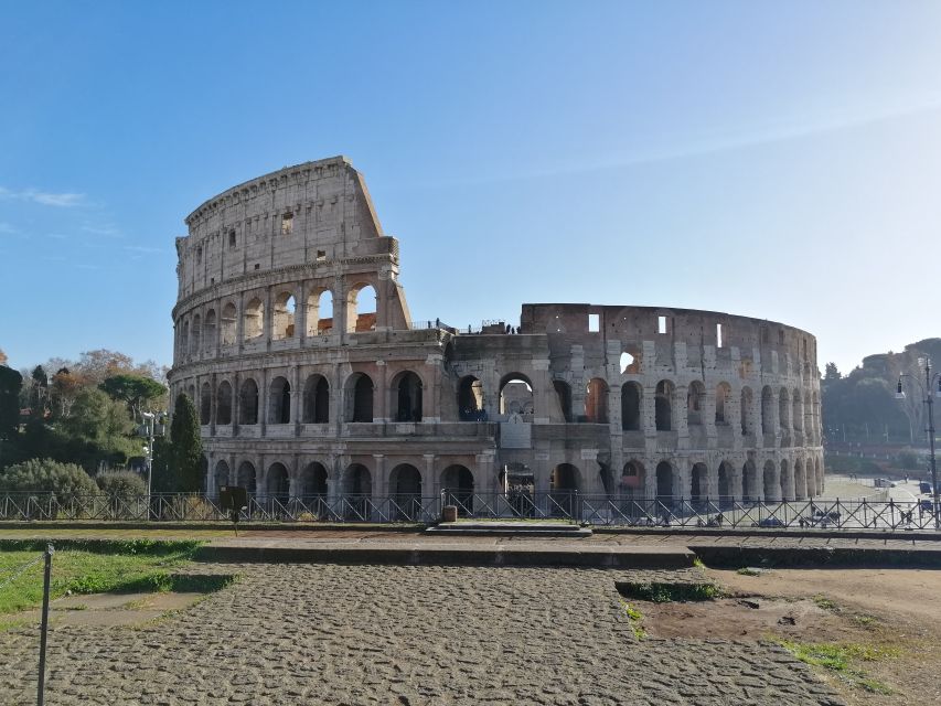 Rome: Colosseum, Underground & Roman Forum Private Tour - Underground and Arena Floor at the Colosseum: The Part That Changes Everything