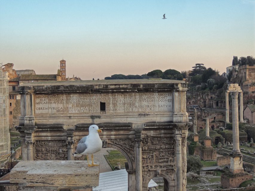 Rome: Colosseum with Arena Floor, Forum & Palatine Hill Tour - Why the Colosseum, Forum, and Palatine combo works