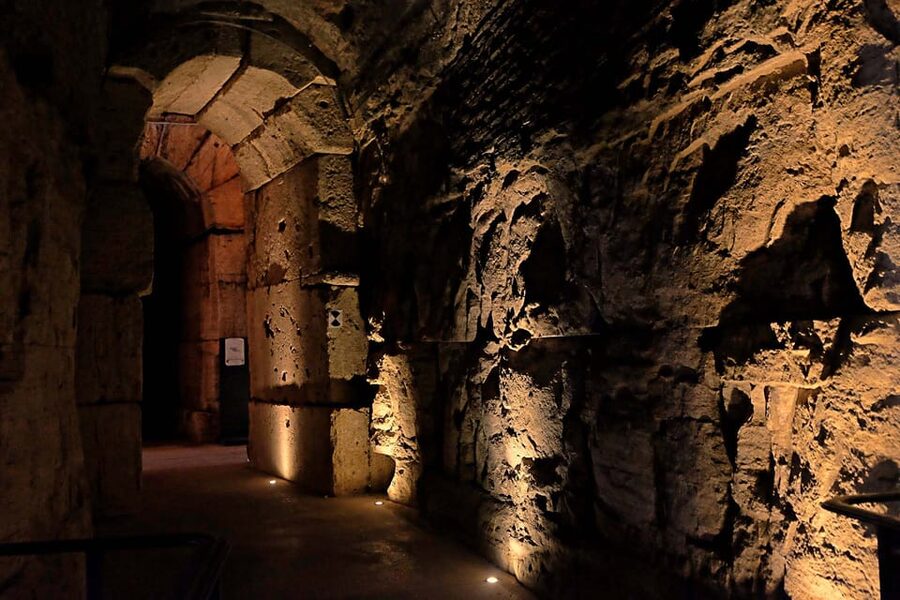 Rome: Exclusive Colosseum Underground and Arena Guided Tour - Price and value: what you get for $191.68