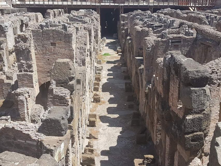 Rome: Explore the Colosseum and Roman Forum, Half-Day Tour - Price and what $167.66 buys you