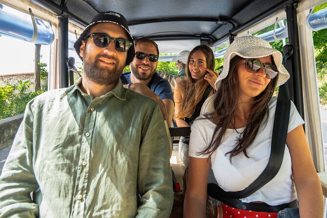 Rome Golf Cart Tour : Half-Day Private or Small Group Sightseeing - Stop 5: Trevi Fountain, coin tradition, and learning what makes it tick