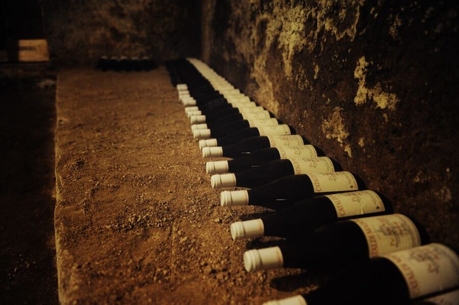 Rome: Guided Italian Wine Tasting Experience - Key highlights you should care about