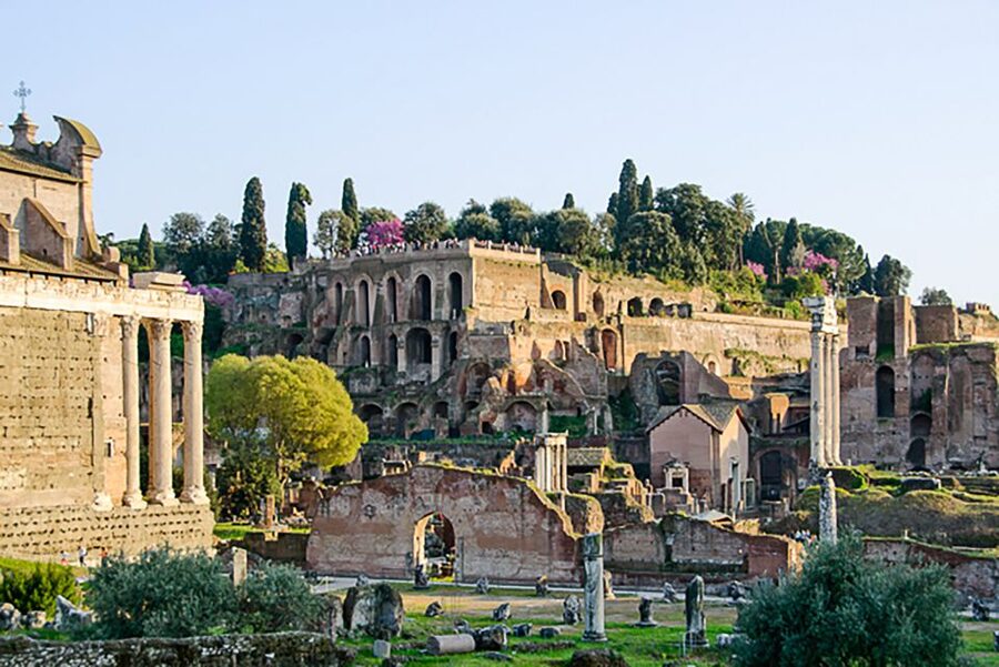 Rome: Guided Tour of Colosseum, Roman Forum & Palatine Hill - Entering the Colosseum: what you do and do not get