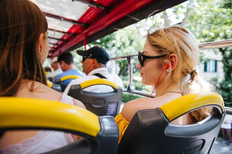 Rome Hop On Hop Off Tour from Civitavecchia by Train - Accessibility and practical comfort on the bus