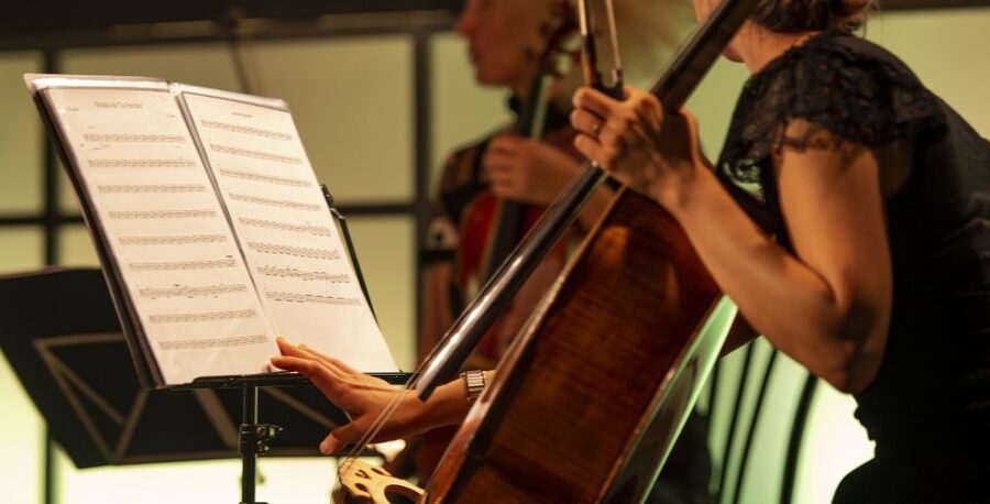 Rome: Opera Concert at Palazzo Poli - Fontana di Trevi - Should you book this Trevi operatic concert at Palazzo Poli?