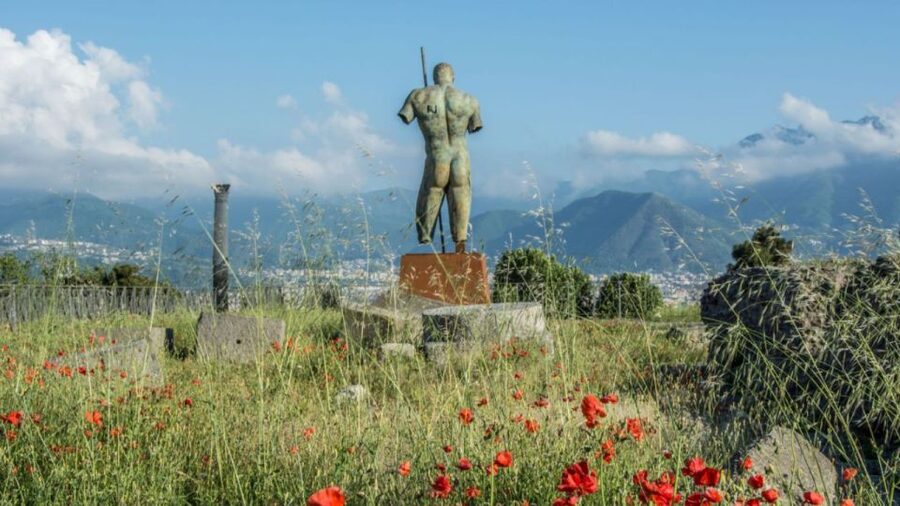 Rome: Pompeii Tour with Wine and Lunch by High Speed Train - Key things to know before you go