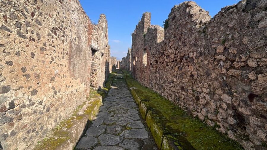 Rome: Pompeii Tour with Wine and Lunch by High Speed Train - Inside Pompeii with your guide: what you really get in 2.5 hours