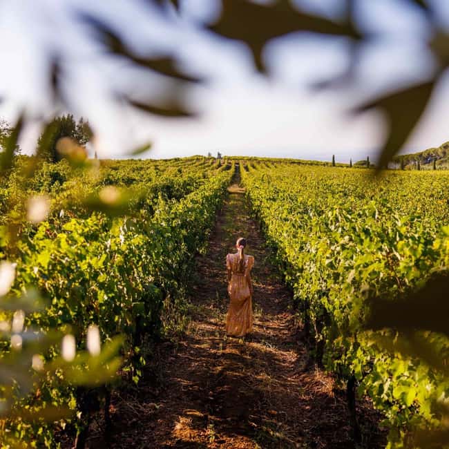 Rome: Private Castelli Romani Wine Tasting Tour - Antico Casale: what to look for on the vineyard and cellar tour