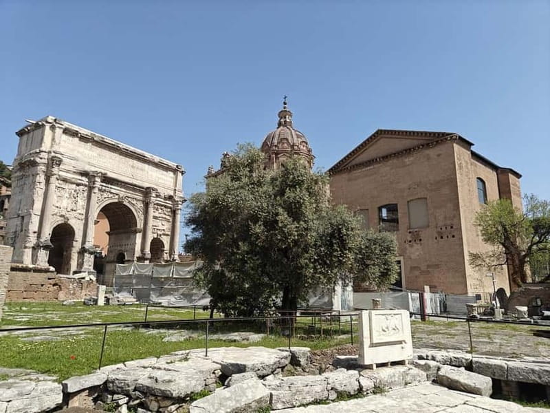 Rome: Roman Forum Myths and Legends Private Guided Tour - Inside the Roman Forum: Learning the Meaning Behind the Ruins