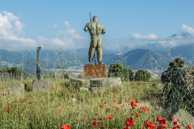 Rome to Pompeii Guided Tour with Wine & Lunch by High Speed Train - How Big Is the Group, and Will You Feel Crowding?