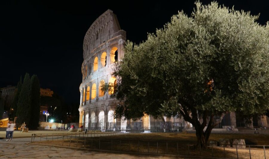 Rome: Wonders of Ancient Rome at Dusk - Meeting point, headsets, and how to make the first 10 minutes painless