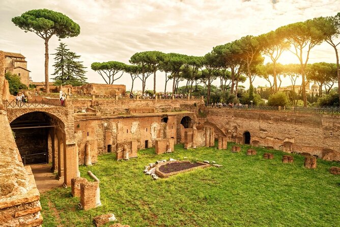 Small-Group Colosseum Tour with Roman Forum & Palatine Hill - A Small-Group Colosseum Tour That Actually Feels Like a Tour