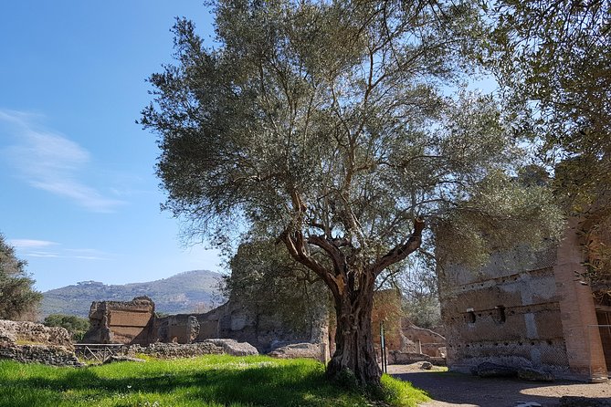 Tivoli Villas Full Day Trip From Rome with Lunch - Pacing and Walking: The Day Feels Full, So Manage Your Energy